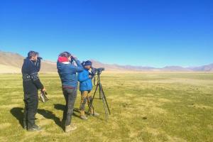 Ladakh Wildlife Update