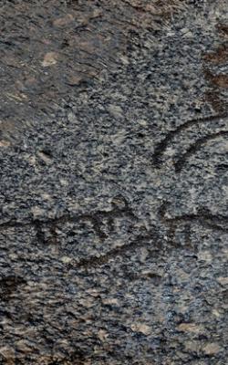 Petroglyph of ladakh