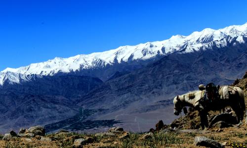 Sabu to Digar Trek via Nayok in Nubra Valley