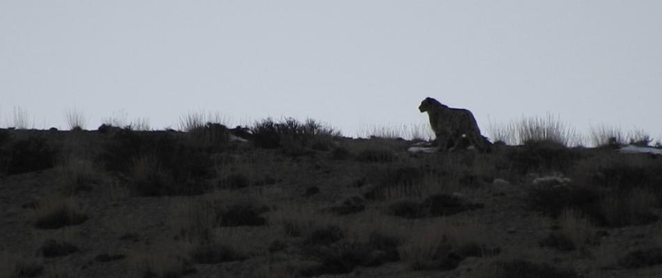 ladakh photography tour 